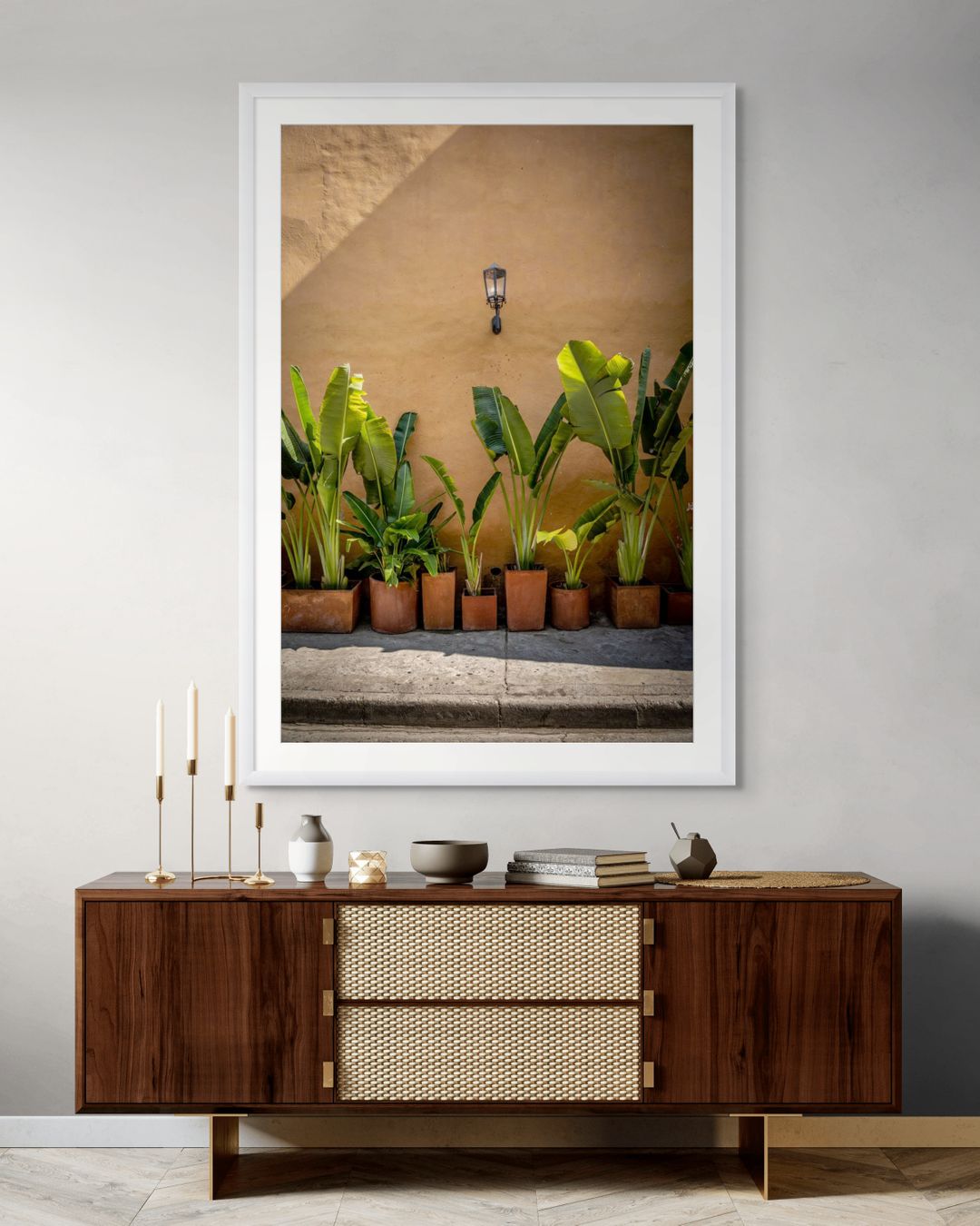 Plantas en Cartagena