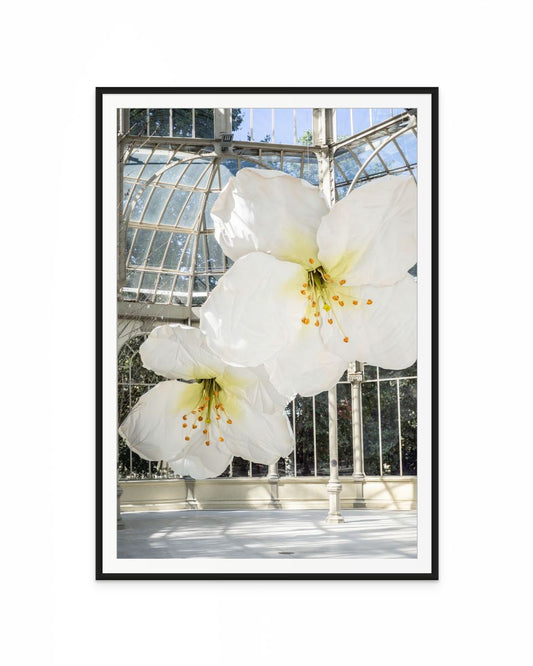 Flores Palacio Cristal