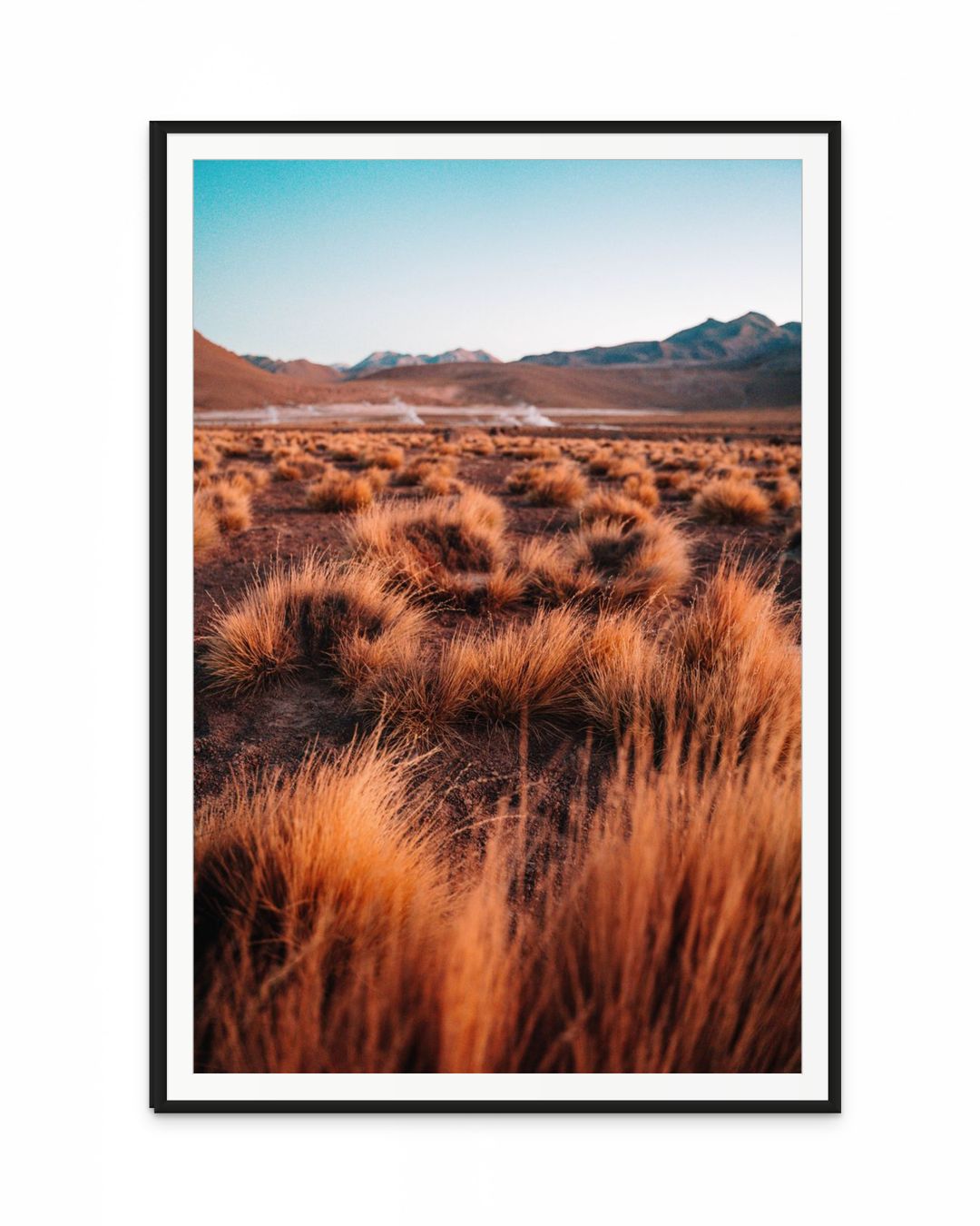 Pack Desierto de Atacama