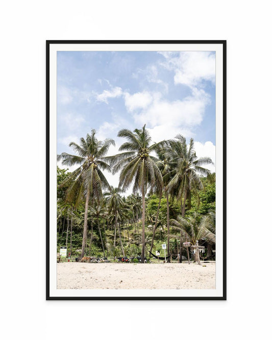 Playa Palmeras Tailandia