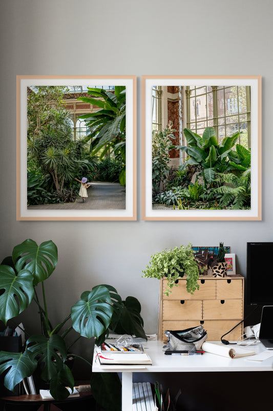 Plantas tropicales en el invernadero, Barcelona