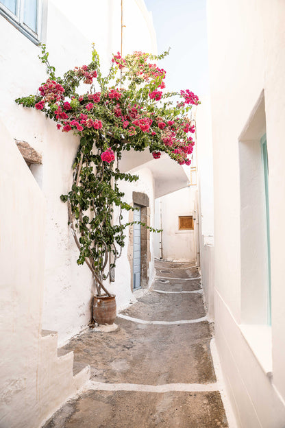 Callejón en Plaka Milos