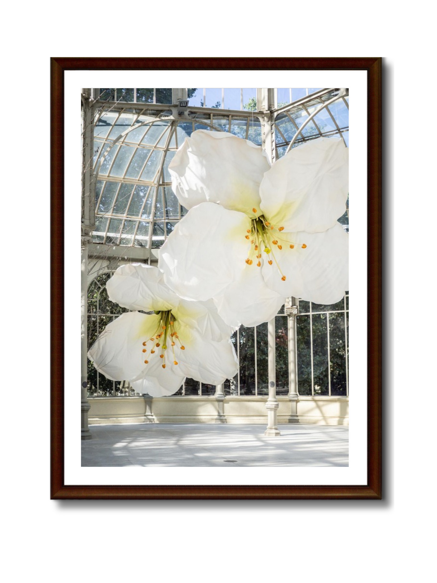 Flores gigantes en el Palacio de Cristal, Madrid