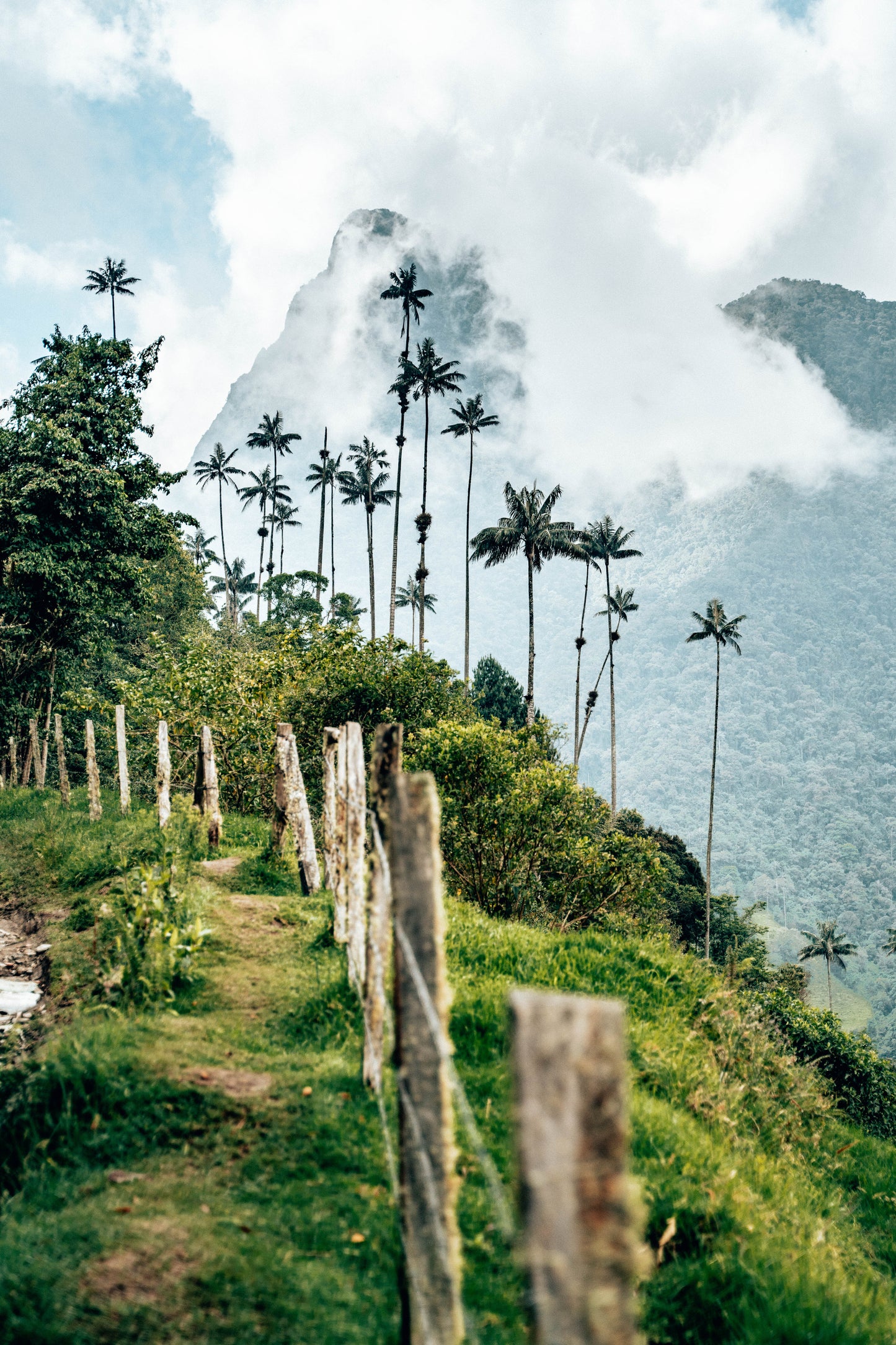 Paseo por las nubes en el Valle de Cocora, Colombia