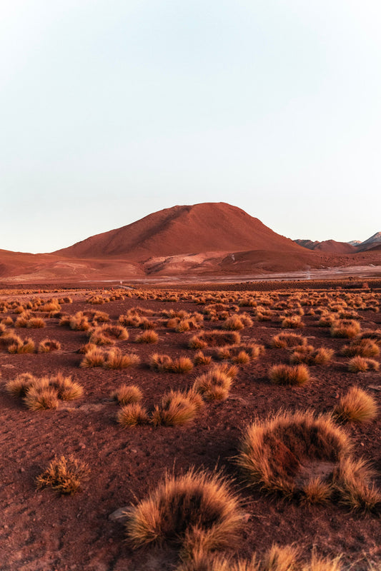 Amanecer Desierto Atacama