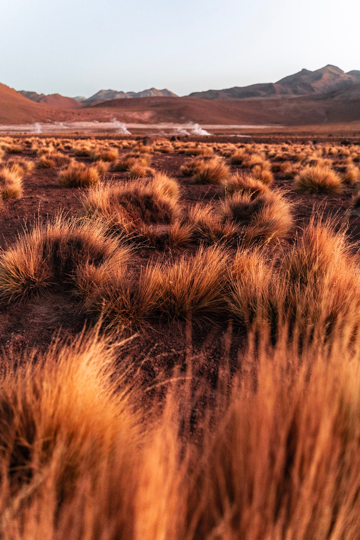 Géiseres del Tatio