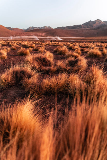 Géiseres del Tatio