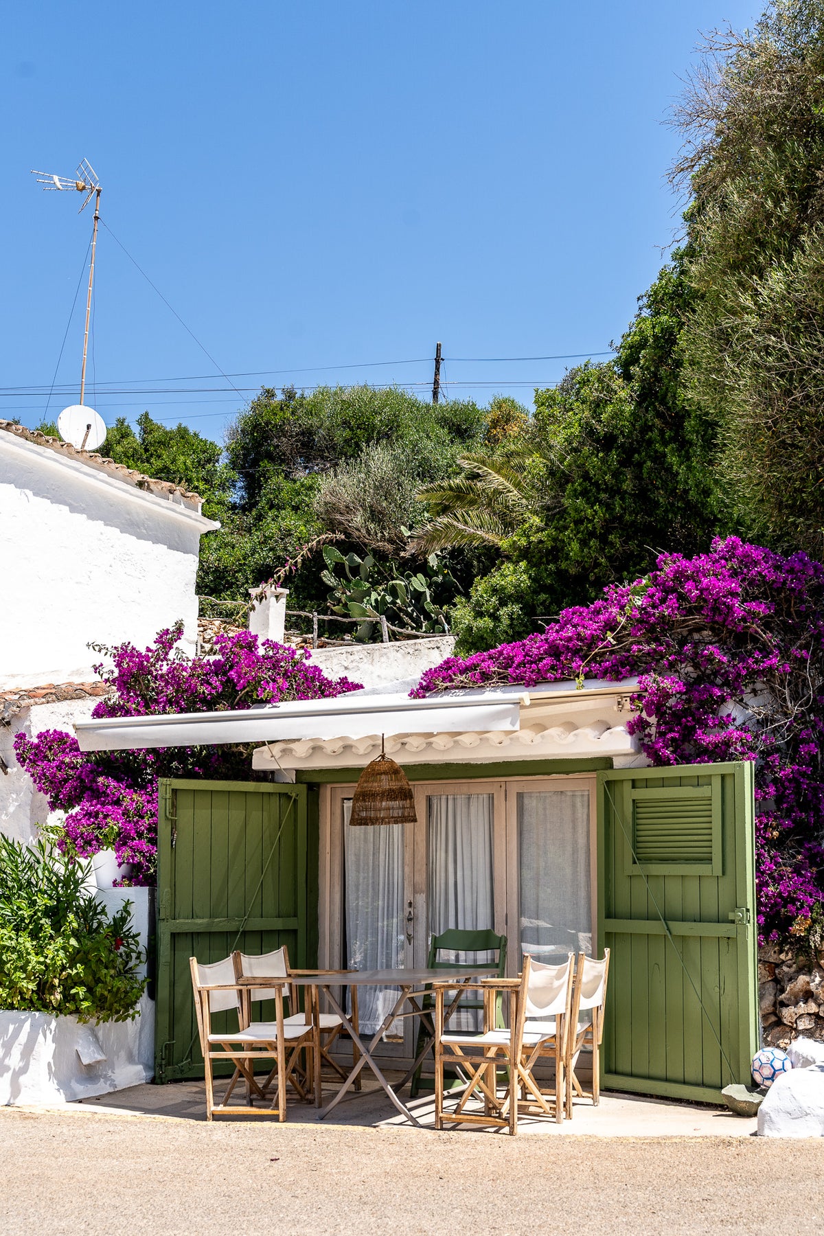 Buganvilla Binisafúller Menorca