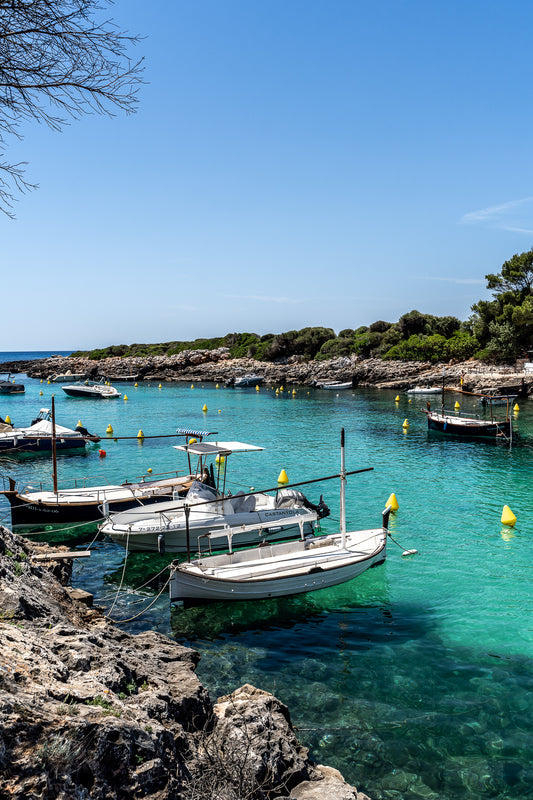 Barcas de Binisafúller