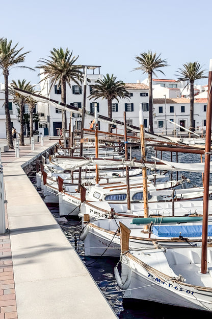 Barcas y Palmeras Fornells