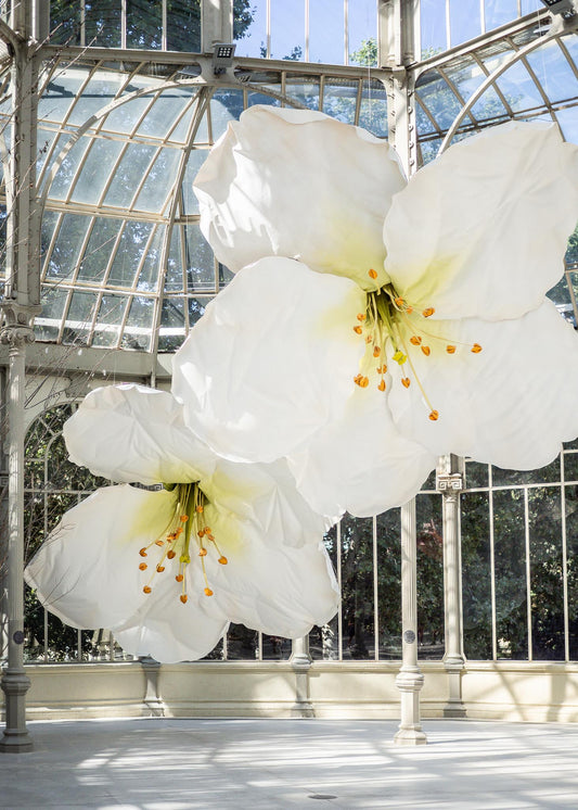 Flores gigantes en el Palacio de Cristal, Madrid