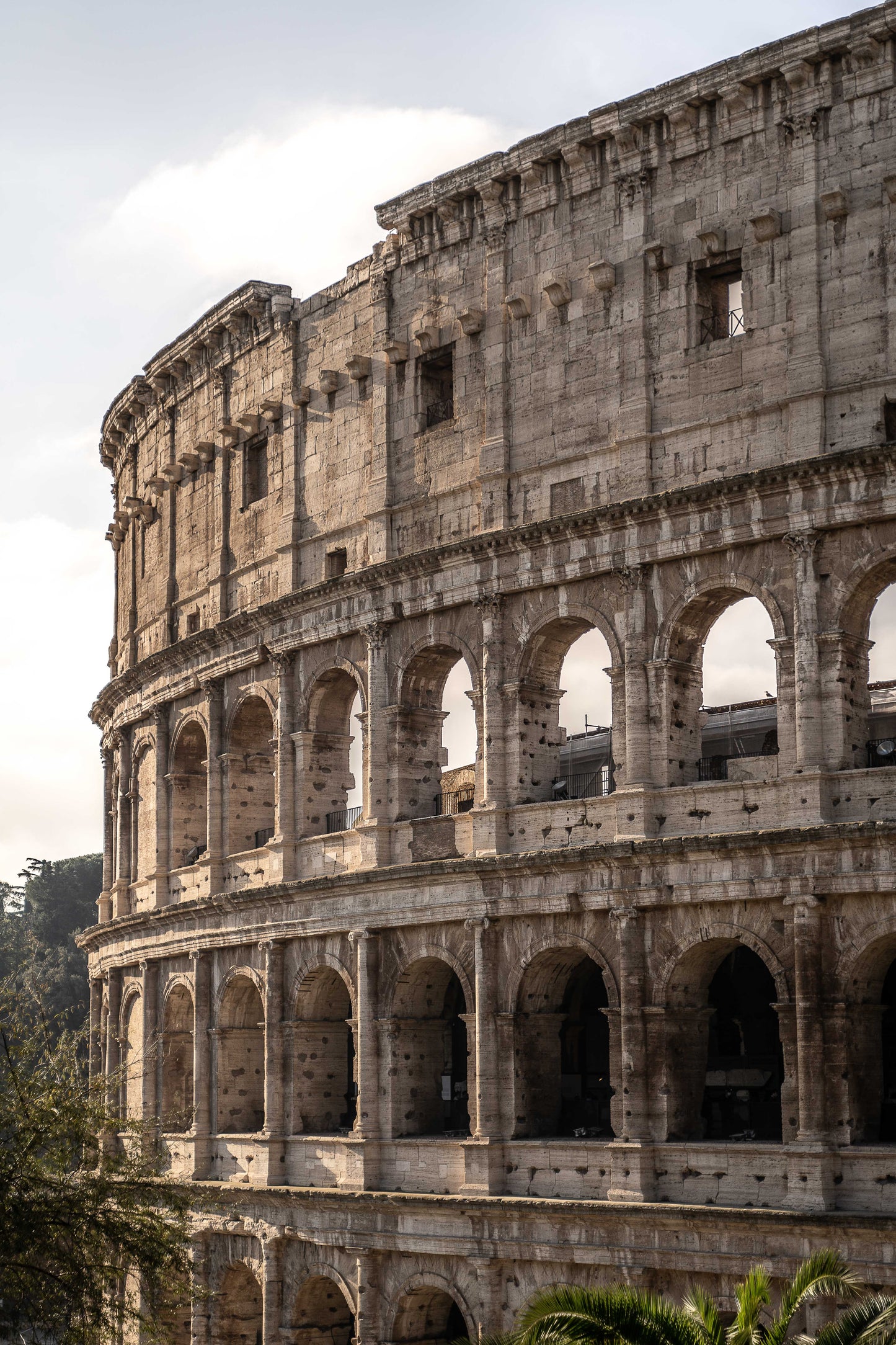 Coliseo al Atardecer
