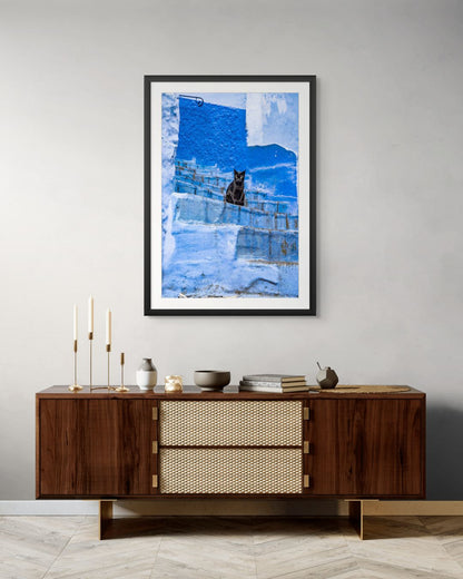 Gato Chefchaouen