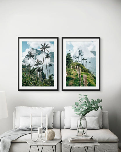 Palmeras Valle de Cocora