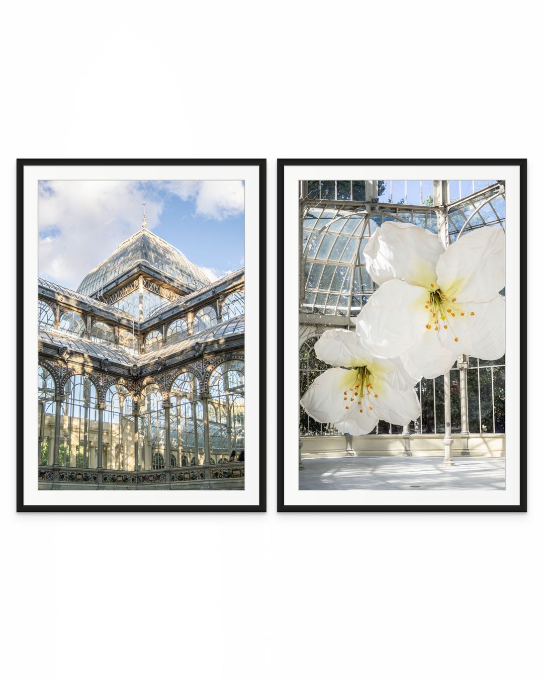 PackPalacio de Cristal