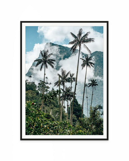 Palmeras Valle de Cocora