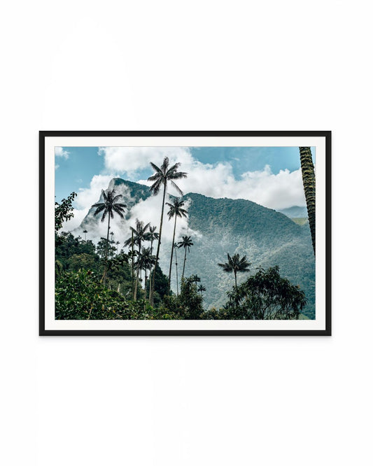 Valle de Cocora Colombia