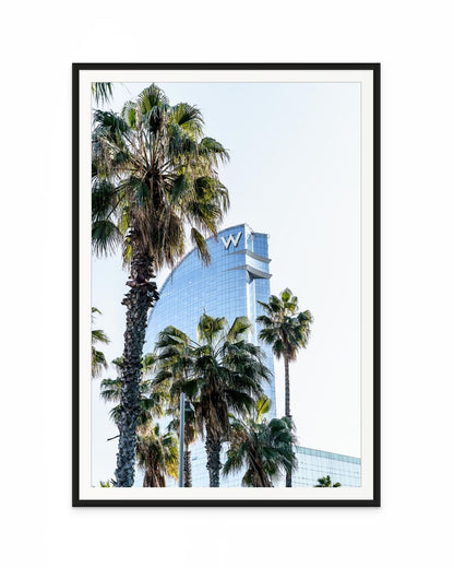 Palmeras Cristal Barcelona