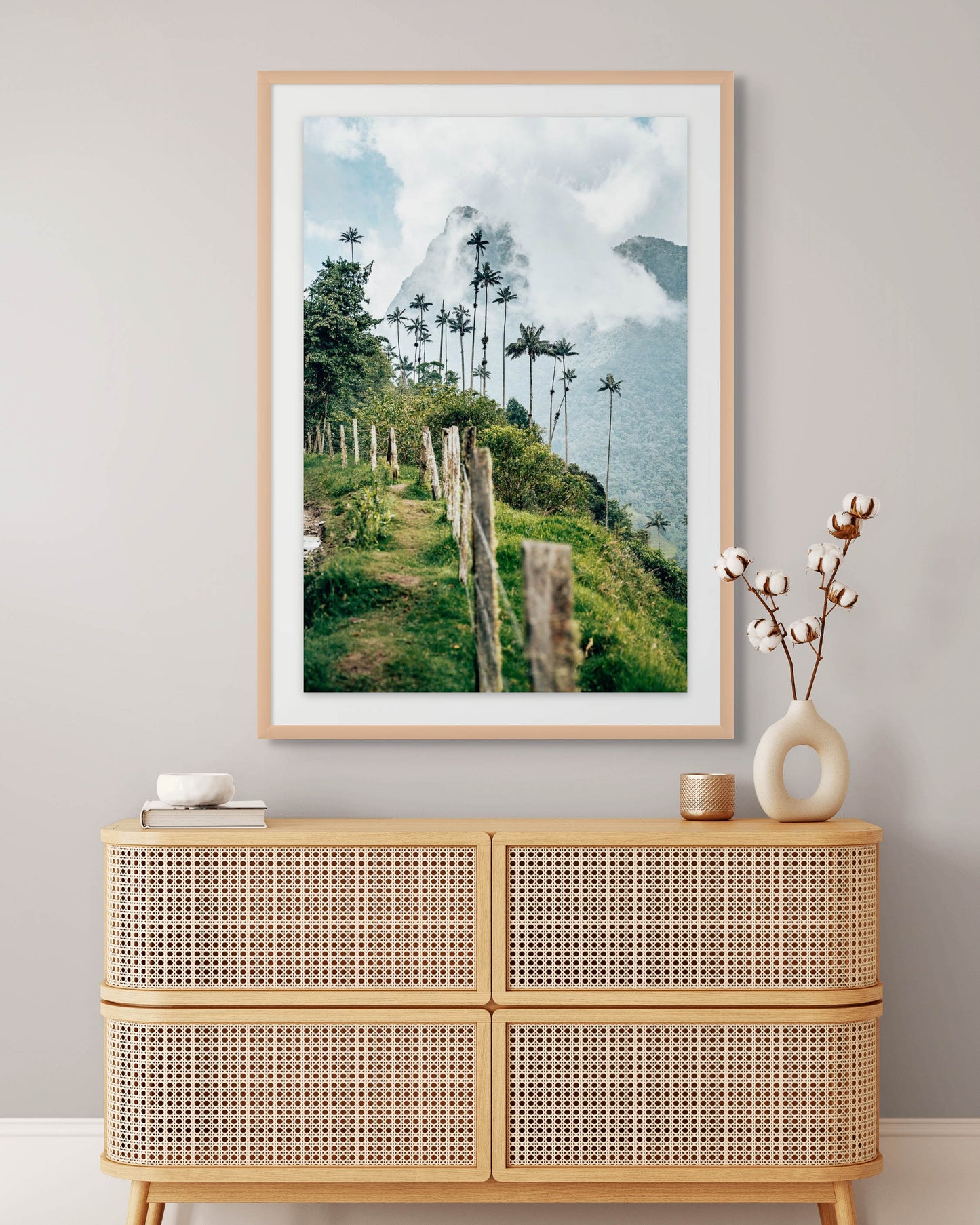 Paseo por las Nubes Valle de Cocora