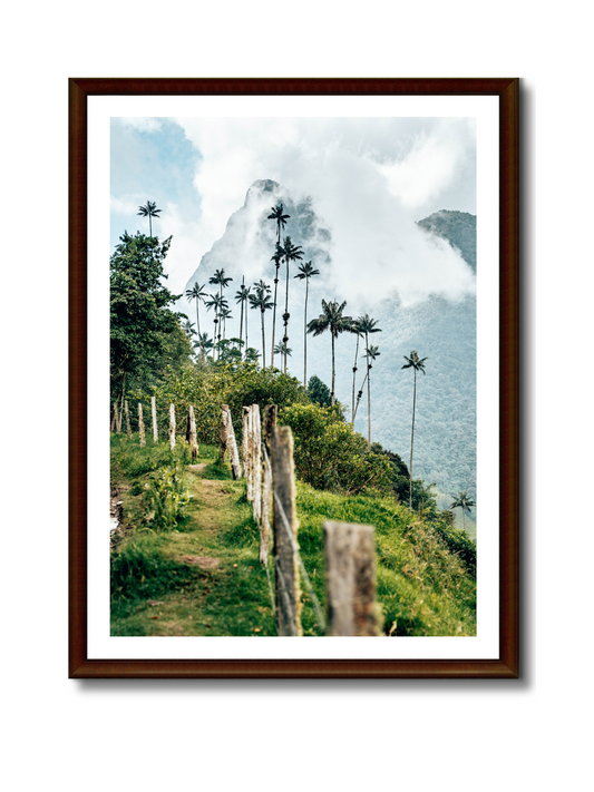 Paseo por las nubes en el Valle de Cocora, Colombia